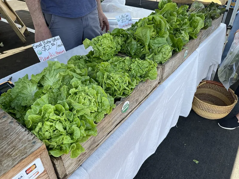 Growing Their Own: How Small-Town America Is Quietly Rebuilding the Local Food System